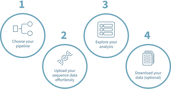 steps-to-using